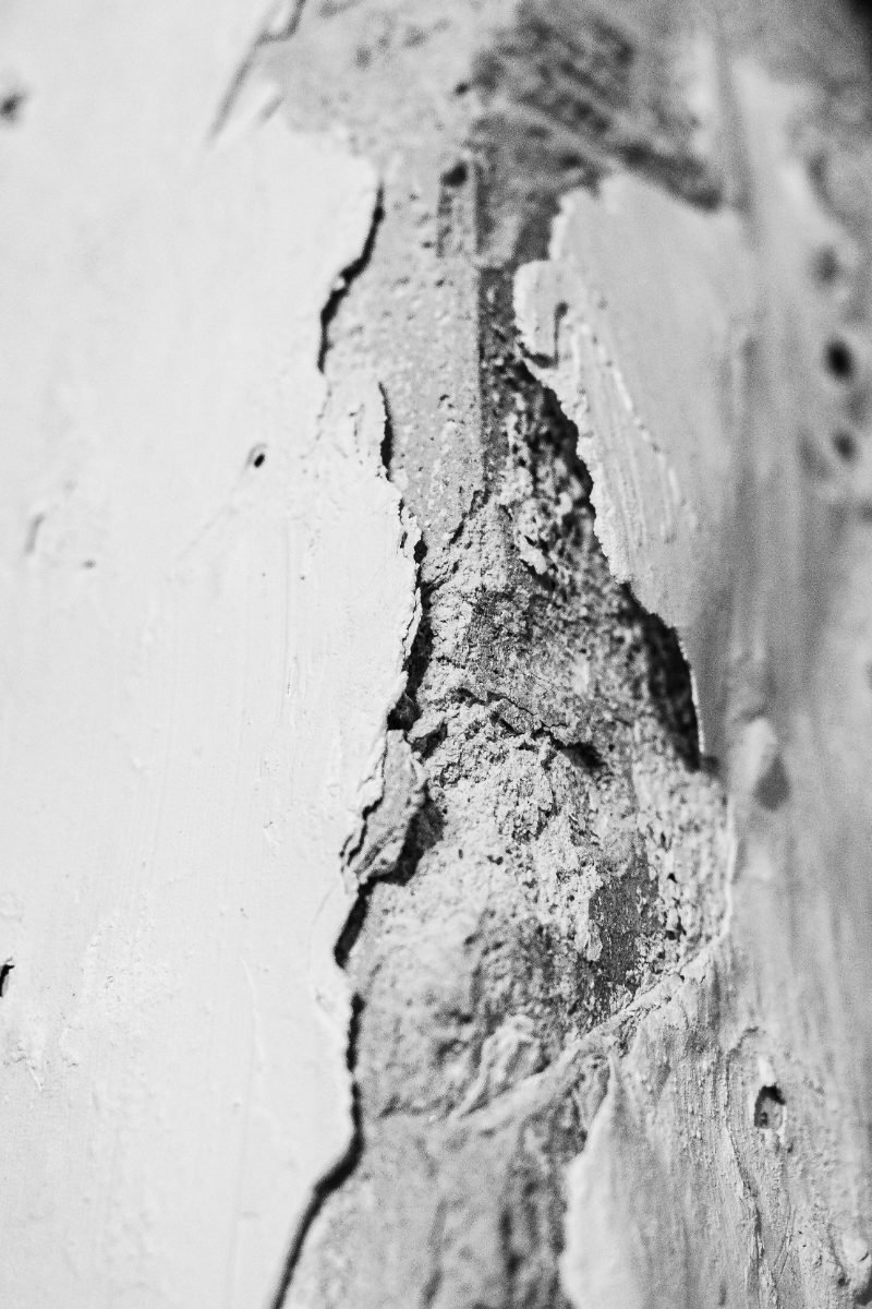 Stucwerk Reparatie services in Bergen op Zoom, North Brabant